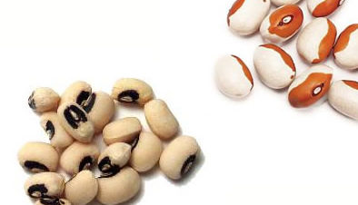 black-brown-eye-beans-l