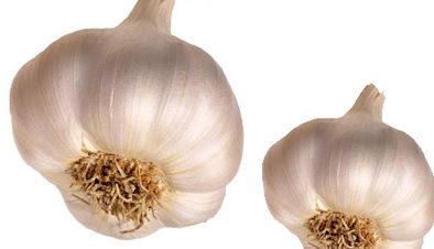 garlic-fresh-l
